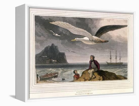 Albatross, Pub. London 1810-Thomas & William Daniell-Framed Premier Image Canvas