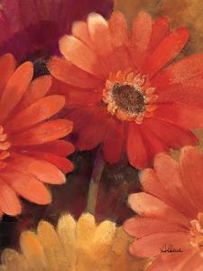 Garden of Gerberas III by Albena Hristova