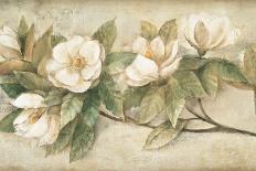 Sugar Magnolia Vintage-Albena Hristova-Art Print