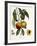 Alberge Jaune-Pierre Antoine Poiteau-Framed Giclee Print