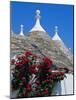 Alberobello, Typical Houses, Apulia (Puglia), Italy-Bruno Morandi-Mounted Photographic Print