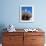 Alberobello, Typical Houses, Apulia (Puglia), Italy-Bruno Morandi-Framed Photographic Print displayed on a wall