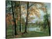 Stretched Canvas Print