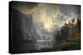 Stretched Canvas Print