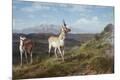Giclee Print