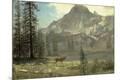 Premium Giclee Print