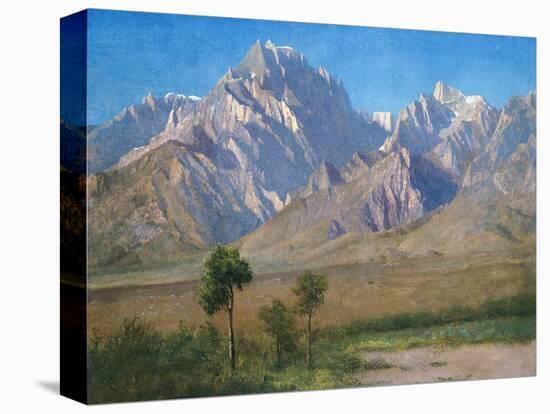 Stretched Canvas Print, , large