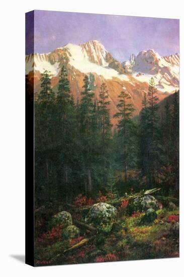 Stretched Canvas Print, , large