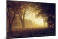 Giclee Print