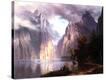 Stretched Canvas Print