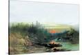 Stretched Canvas Print