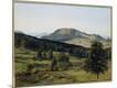Giclee Print
