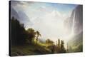 Stretched Canvas Print
