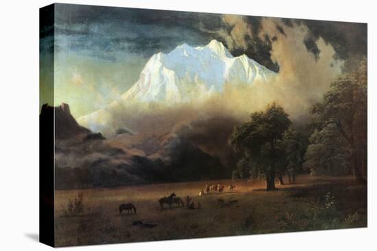 Stretched Canvas Print, , large