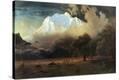 Stretched Canvas Print