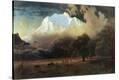 Stretched Canvas Print