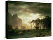 Stretched Canvas Print