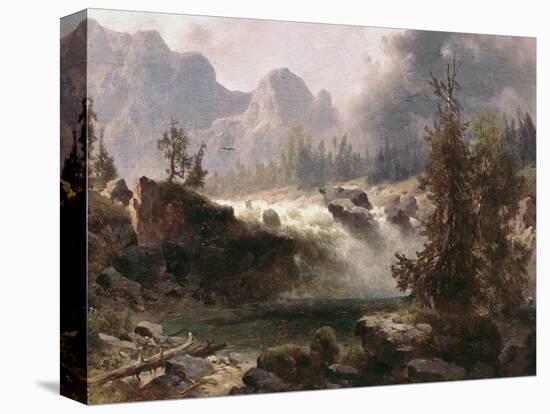 Stretched Canvas Print, , large