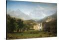 Stretched Canvas Print