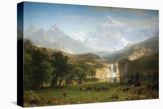 Stretched Canvas Print, , large