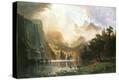 Stretched Canvas Print