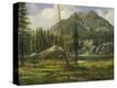 Stretched Canvas Print