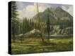 Stretched Canvas Print
