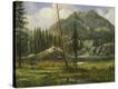 Stretched Canvas Print