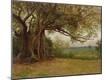 Giclee Print