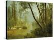 Stretched Canvas Print