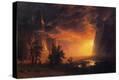 Stretched Canvas Print