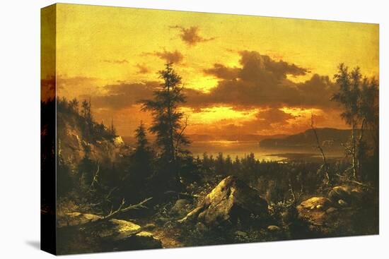 Stretched Canvas Print, , large