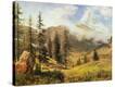 Stretched Canvas Print