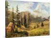 Stretched Canvas Print