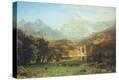 Stretched Canvas Print