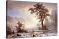Stretched Canvas Print