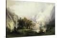 Stretched Canvas Print