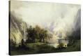Stretched Canvas Print