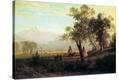 Stretched Canvas Print