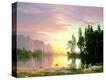 Stretched Canvas Print