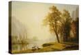 Stretched Canvas Print