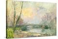 Stretched Canvas Print
