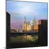 Albert Dock, Liverpool, 2008-Trevor Neal-Mounted Giclee Print