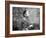 Albert Einstein (1879-1955) Swiss Physicist (German Born) C. 1930-null-Framed Photo