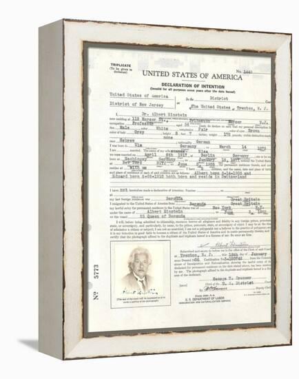 Albert Einstein's Petition for Naturalization-null-Framed Stretched Canvas