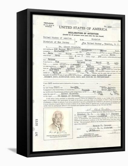Albert Einstein's Petition for Naturalization-null-Framed Stretched Canvas