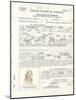 Albert Einstein's Petition for Naturalization-null-Mounted Photo