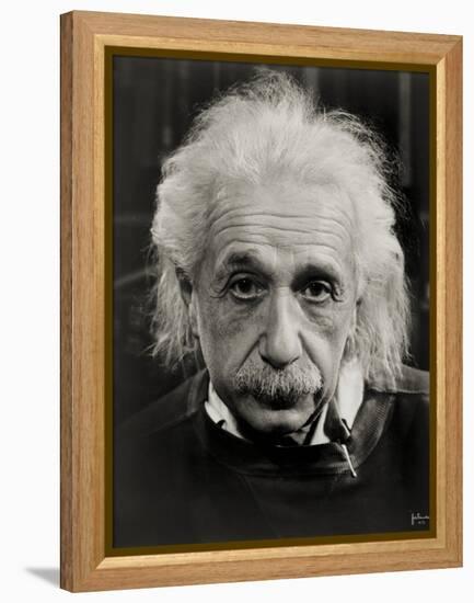 Albert Einstein-null-Framed Premier Image Canvas