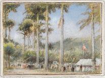 Grenada, West Indies-Albert Goodwin-Giclee Print