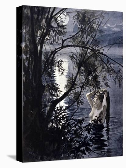 Stretched Canvas Print, , large